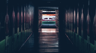 巴黎 马赛 法甲 球速体育